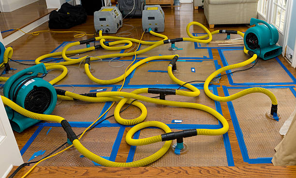 Professional Burst Pipe Water Damage technician working in La Grange, IL